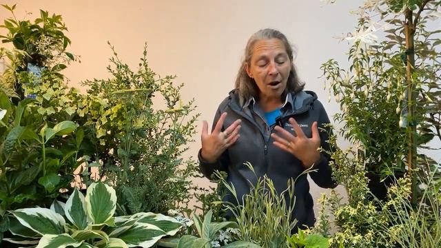 Gardening by Moonlight: Ideas for Night Gardens смотреть онлайн