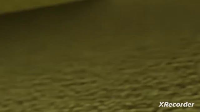 кошка максвел 2 серея смотреть онлайн