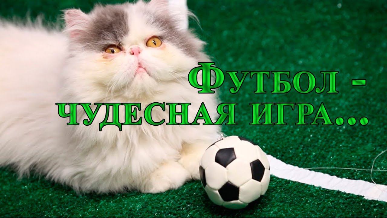 Футбол — чудесная игра*