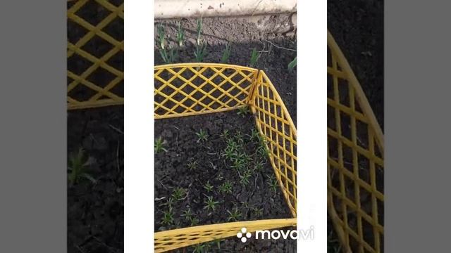 Весенний обзор моей дачи, утки дерутся цветы цветут смотреть онлайн