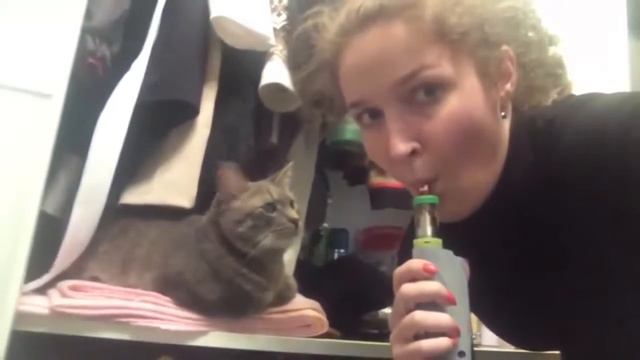 COUB ЛУЧШЕЕ #53 ДЕНЬ СВЯТОГО ВАЛЕНТИНА смотреть онлайн