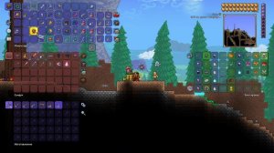 Террария- самые редкие и крутые Предметы в Terraria