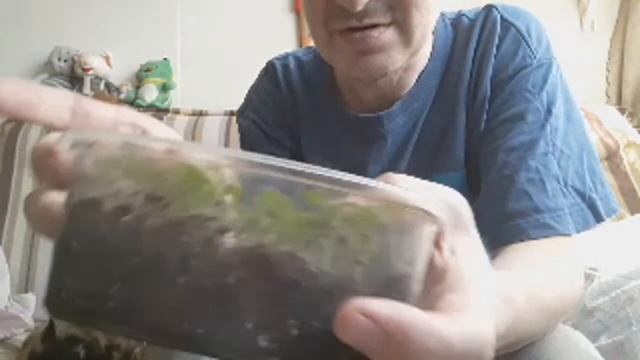 хлеб итальянская фаакача смотреть онлайн