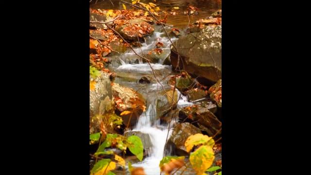 Canon Powershot SX150 IS смотреть онлайн