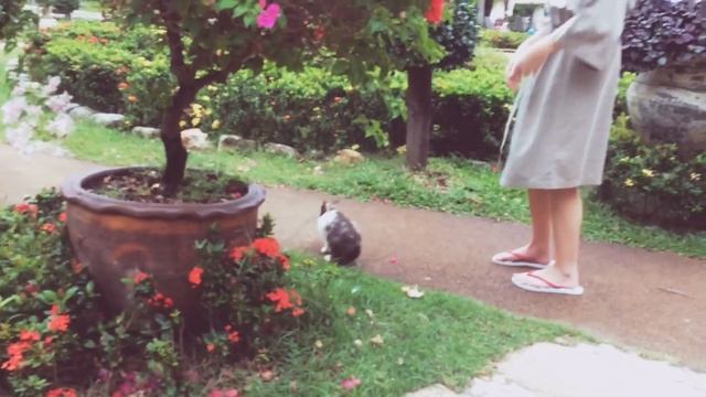 ТАЙЛАНД (1 day) смотреть онлайн