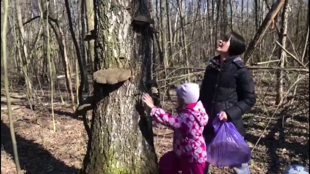 Елена Александрова в самоизоляции смотреть онлайн