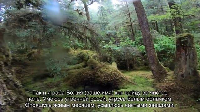 Заговор на красоту: читаем в домашних условиях смотреть онлайн