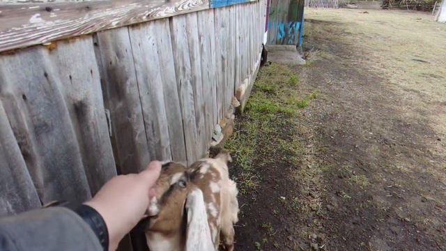 Больших текстов написать не получилось. И хорошо. Вместо них большое немое видео. смотреть онлайн