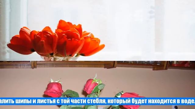 Что нужно сделать, чтобы цветы дольше стояли в вазе, что добавить в воду