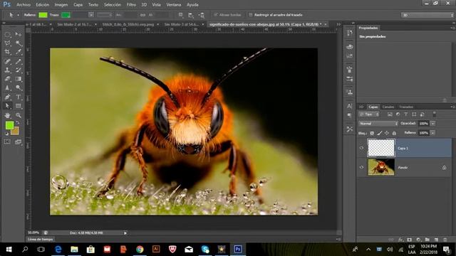 Herramienta Muestras Pantone en Photoshop смотреть онлайн