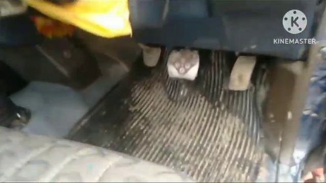 Toyota Hilux For Sale model 1989 #toyota #pickup #dala #loder #viral смотреть онлайн