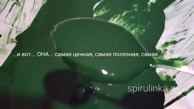 Spirulinka™ - как мы производим спирулину смотреть онлайн