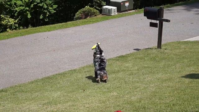 Sony A37 / 1080p / MP4 sample video смотреть онлайн