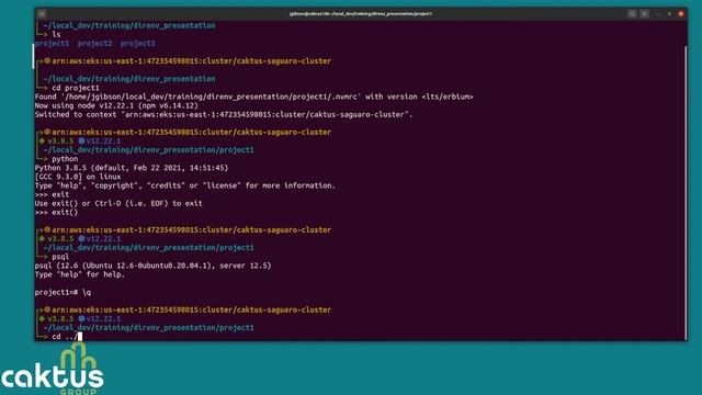 Direnv Will Change Your Life...Maybe смотреть онлайн