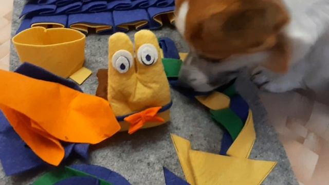 НЮХАТЕЛЬНЫЙ КОВРИК ДЛЯ СОБАК смотреть онлайн