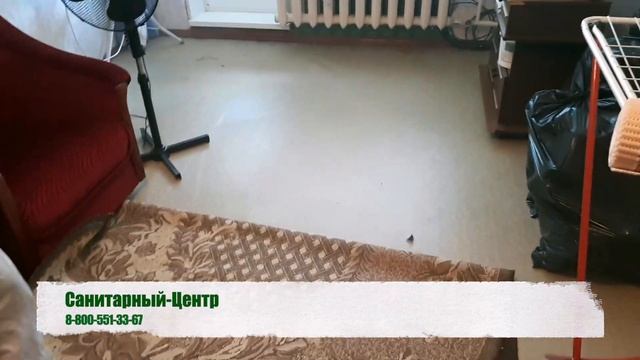 Обработка от тараканов холодным туманом смотреть онлайн