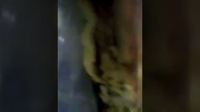 Хачапури которые я сам приготовил. С сыром,мясом и овощами. смотреть онлайн