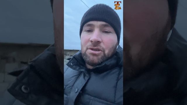 Бестер ф1 смотреть онлайн