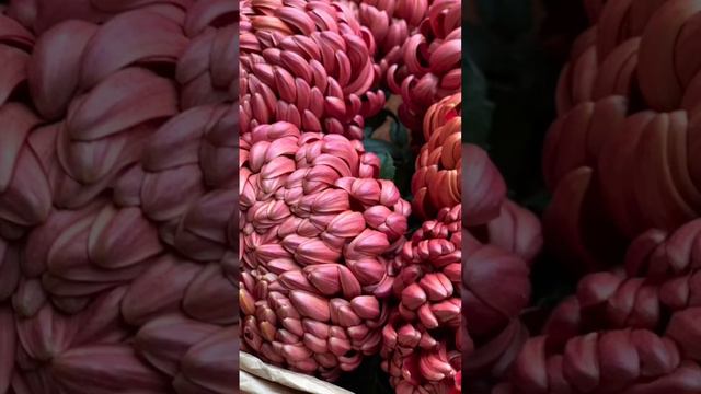 Букет хризантем смотреть онлайн