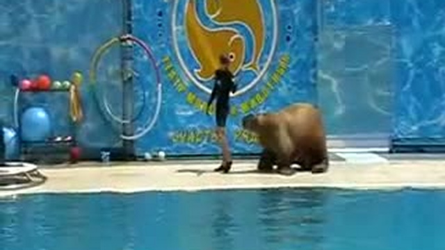 Ялта, театр морских животных смотреть онлайн