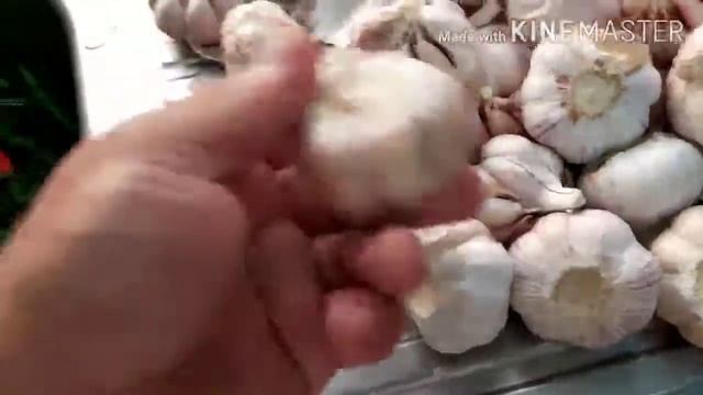 HOW TO MAKE CHILLI GARLIC OIL PANG NEGOSYO / NEGOSYO TIPS смотреть онлайн