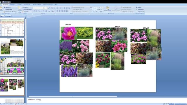 ПАРАДНЫЙ ЦВЕТНИК непрерывного цветения: коллаж и схема. смотреть онлайн