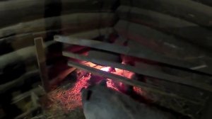 1 год содержания Вьетнамских свиней/ Результаты/Деревенская жизнь