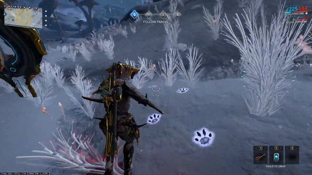 Orb Vallis Perfect Animal Capture Guide | Warframe смотреть онлайн