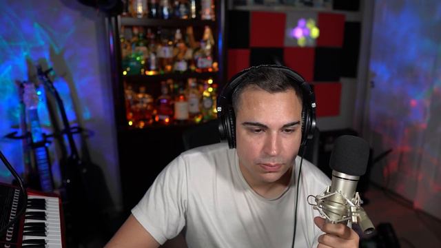 Temu Microphone: U87