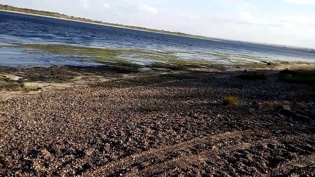 Прогулка на берег Волги в Волгограде 18.09.2021 ч.1 Walk on the banks of the Volga in Volgograd p. смотреть онлайн
