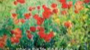 Leisure  (W H Davies' poem).