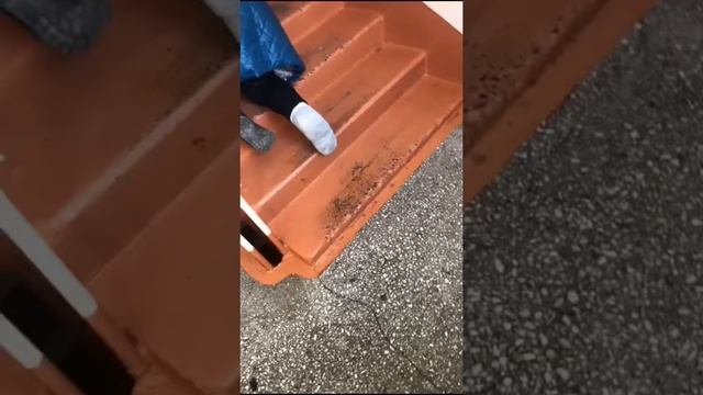 Тогучинской больнице парень запечатлел как его родная мать ползет по лестнице с первого на второй смотреть онлайн