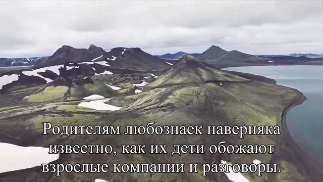 Когда столы напоминают сказочные сюжеты про «пир на весь мир», глаза разбегаются даже у взрослых — смотреть онлайн