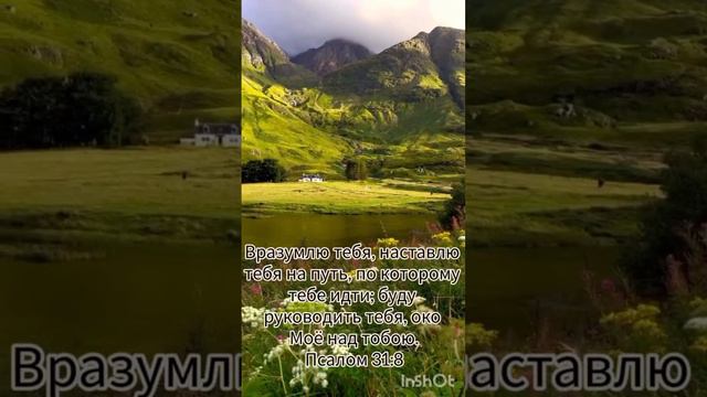 Доброе утро Божий народ! смотреть онлайн