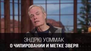 Эндрю Уоммак о чипировании и метке зверя