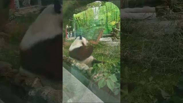 Московский зоопарк