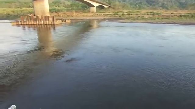 10 Атак КРОКОДИЛОВ снятых на КАМЕРУ смотреть онлайн