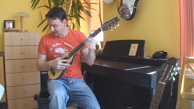 Kurz Vorgestellt: Washburn Rover R020 Travel Guitar (Reisegitarre)