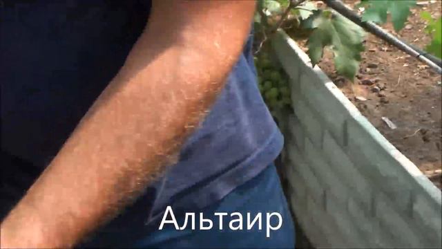 Альтаир смотреть онлайн