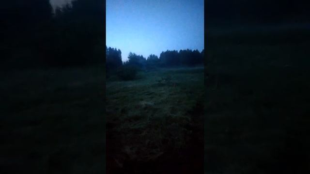 Туман на даче смотреть онлайн