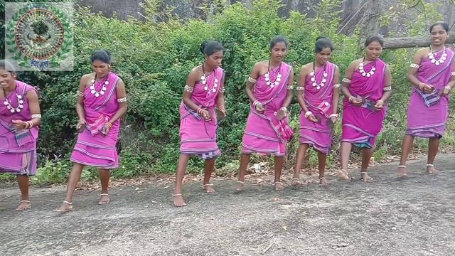 गोंडी सॉन्ग ? चना पुंगारी ?? смотреть онлайн