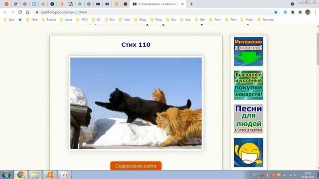 Стих 110. Причастность смотреть онлайн