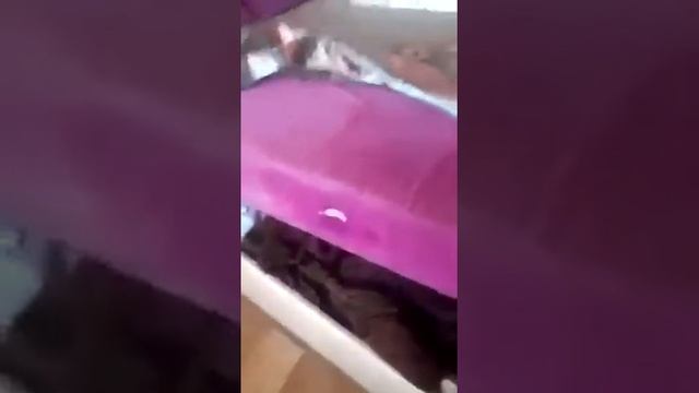 Трахнул тахту