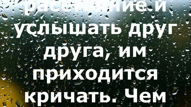 Притча о настоящей любви смотреть онлайн