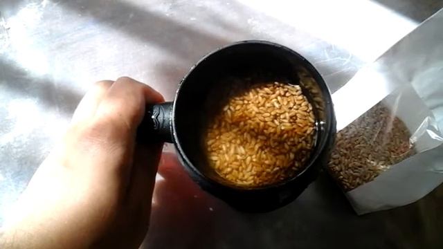 Зерно пшеницы смотреть онлайн