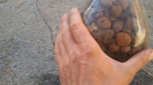 Простейший  биофильтр ! The simplest biofilter