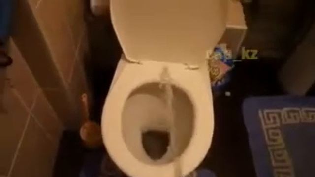 Как ходят в туалет в разных местах.