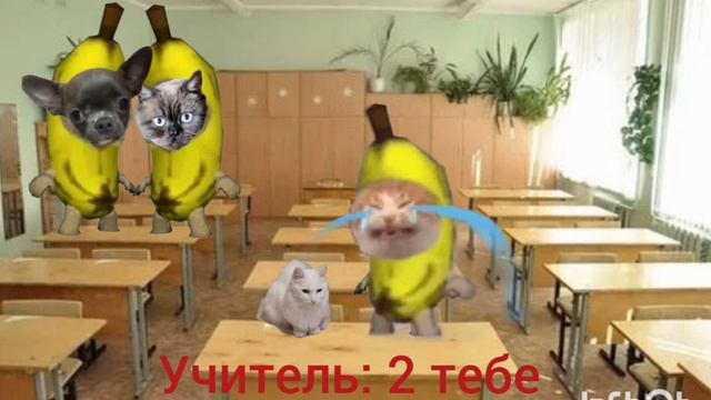 Чипи чапа смотреть онлайн