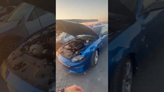 Мустанг 2020г??. Объём 2.3 Пробег 15000миль всего Примерно 10-11$ болчудай смотреть онлайн