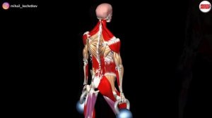 Прогулка фермера